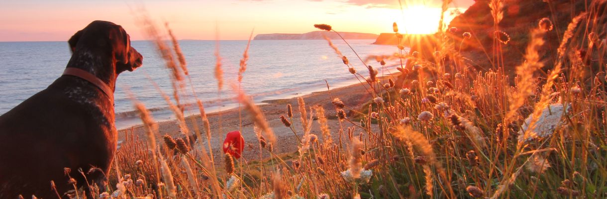 Brook beach sunset